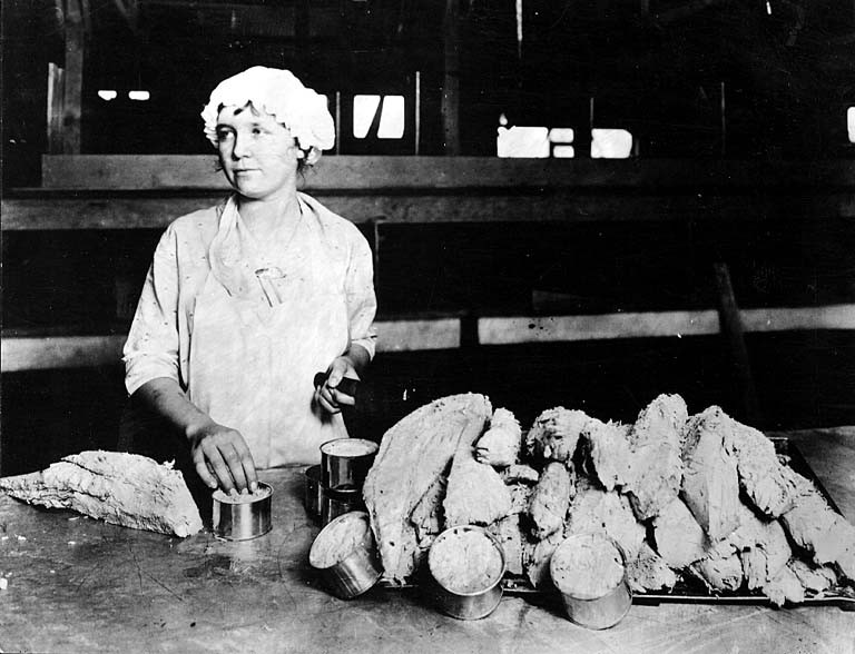 Cannery worker filling tuna cans in Long Beach, California