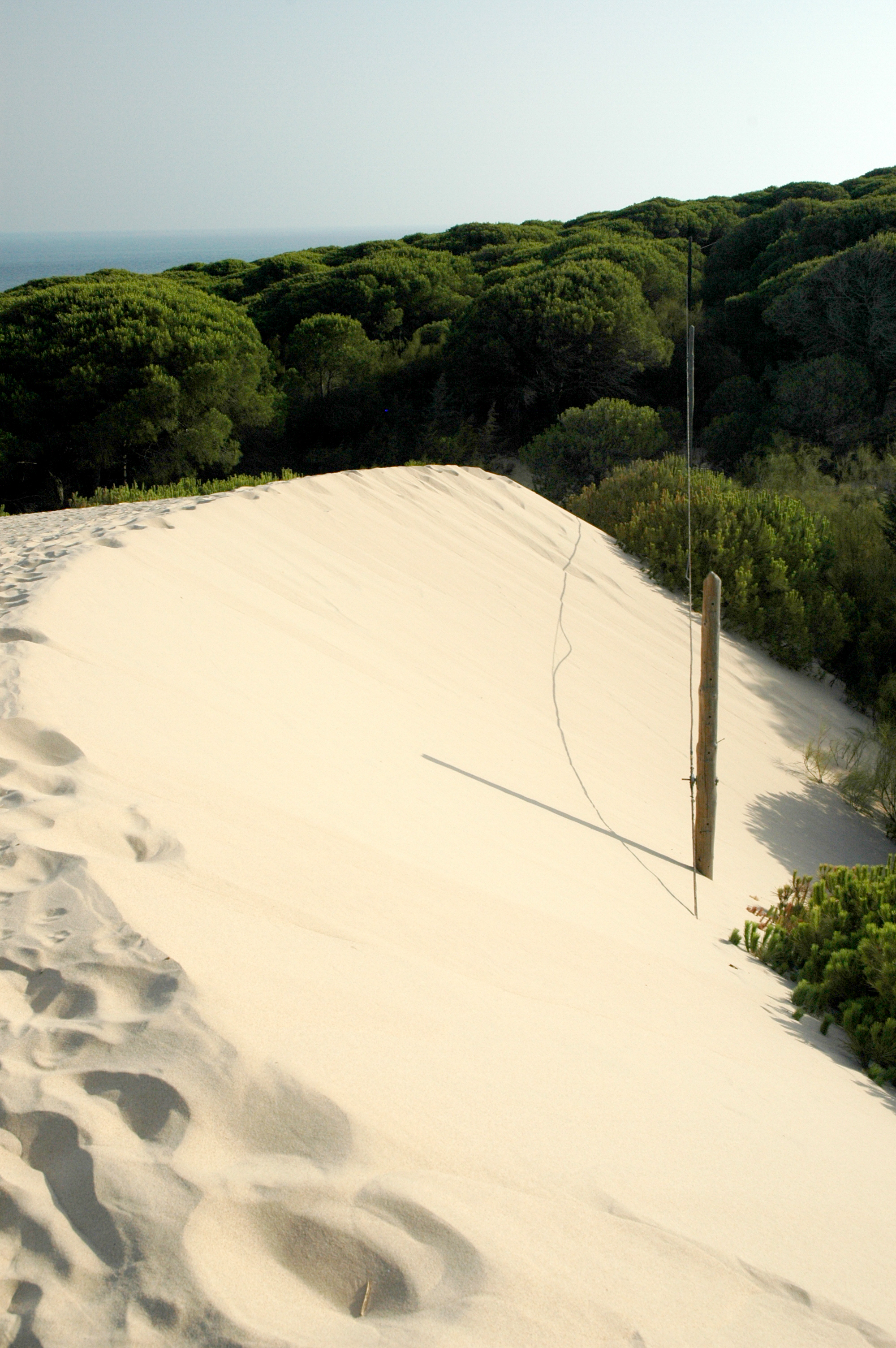 Part of the dune of Bolonia seen from the top.