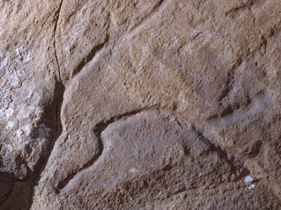 Paleolithic engraving: Head of a horse (Cueva del Moro, Tarifa).