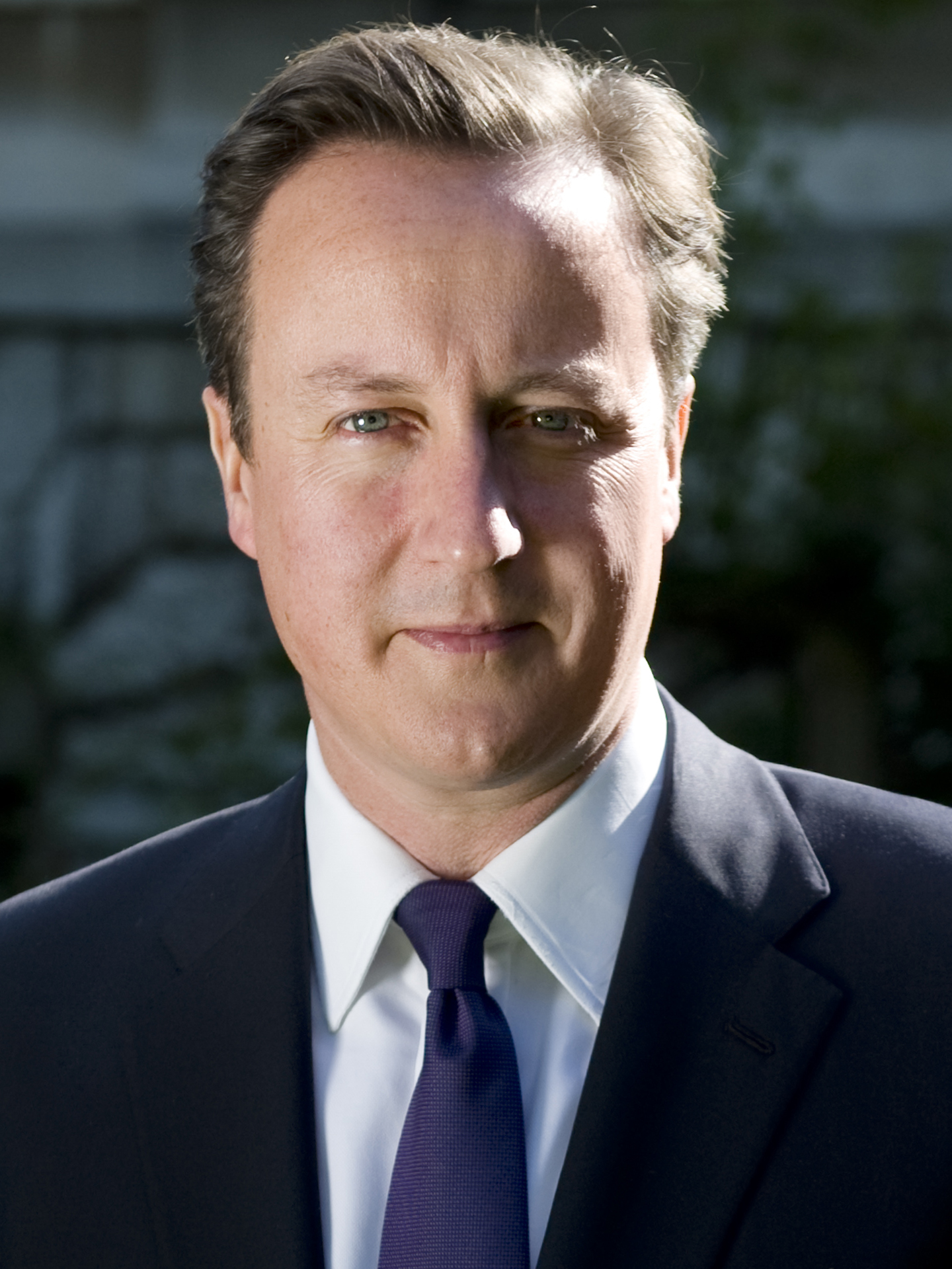 David Cameron, Prime Minister of the United Kingdom (2010–2016)