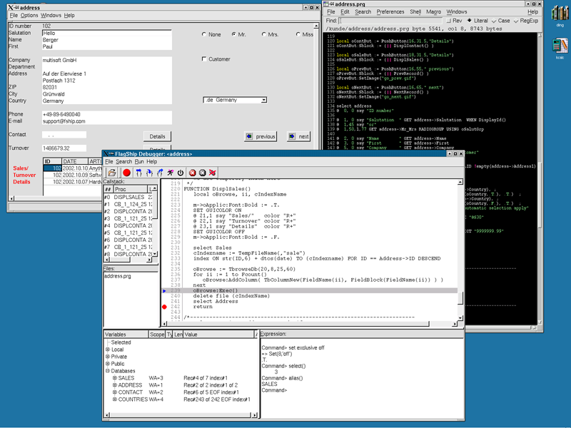 FlagShip environment: Executing an application,including the embeddedsource-code debugger
