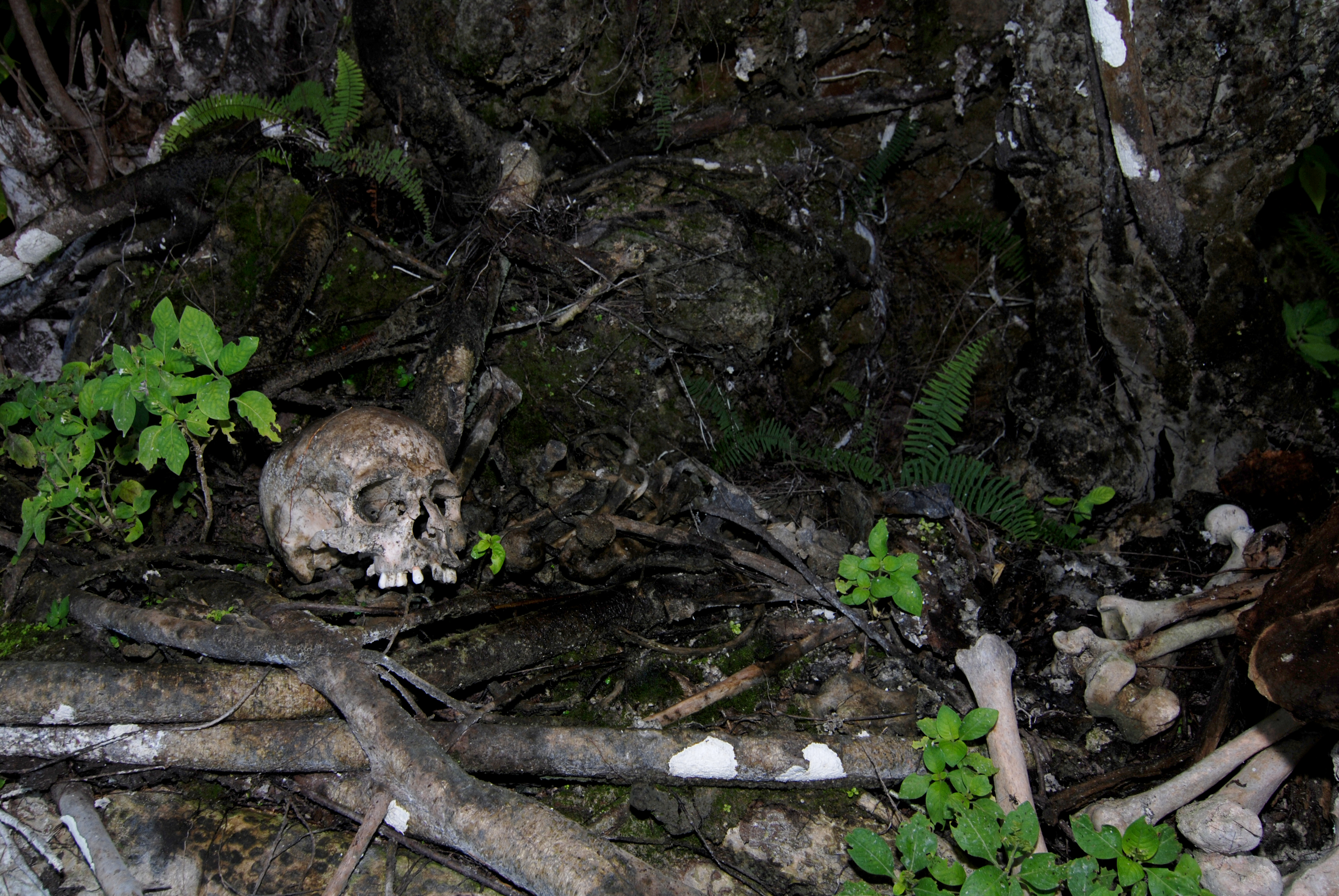 Biak skulls in the Padwa old cemetery.
