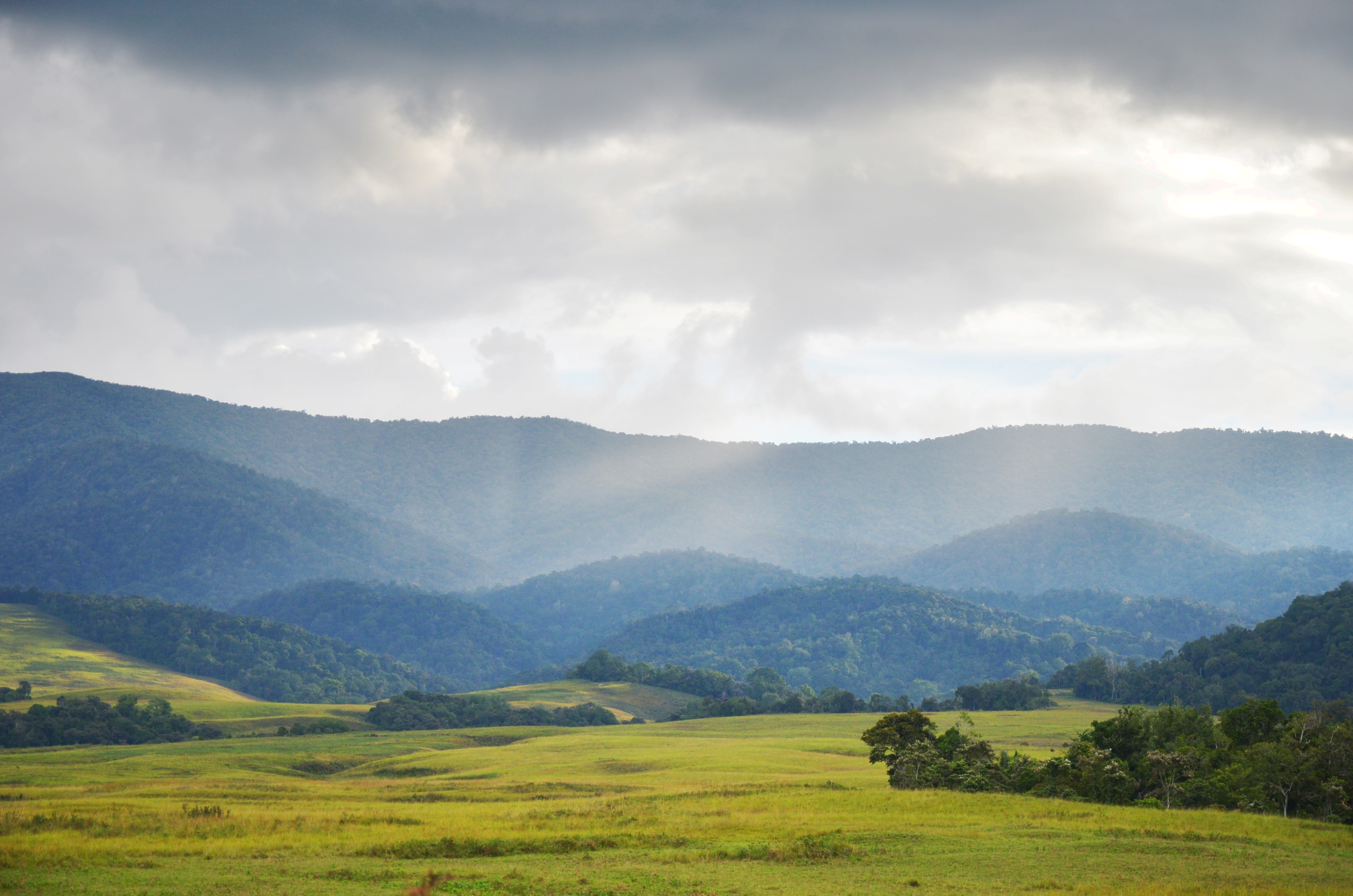 View of Behoa Valley surrounded by hills and forests in Lore Lindu National Park.