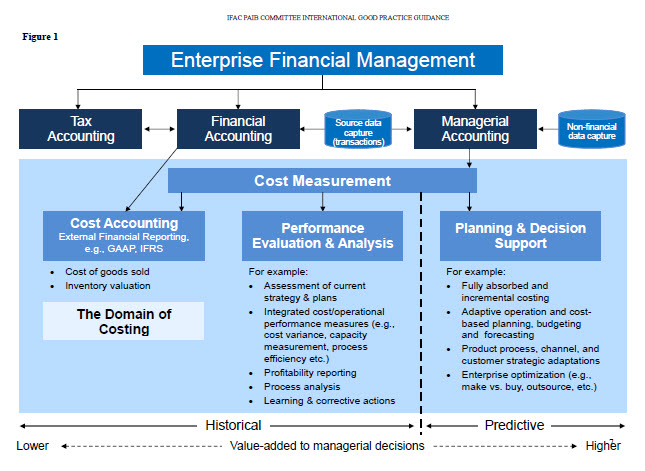 The structure of accounting as documented by the International Federation of Accountants