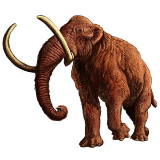 Wooly Mammoth