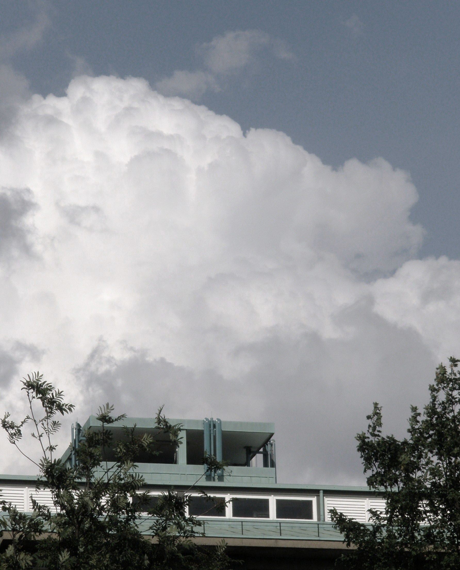 The roof of the Simon Engineering Building
