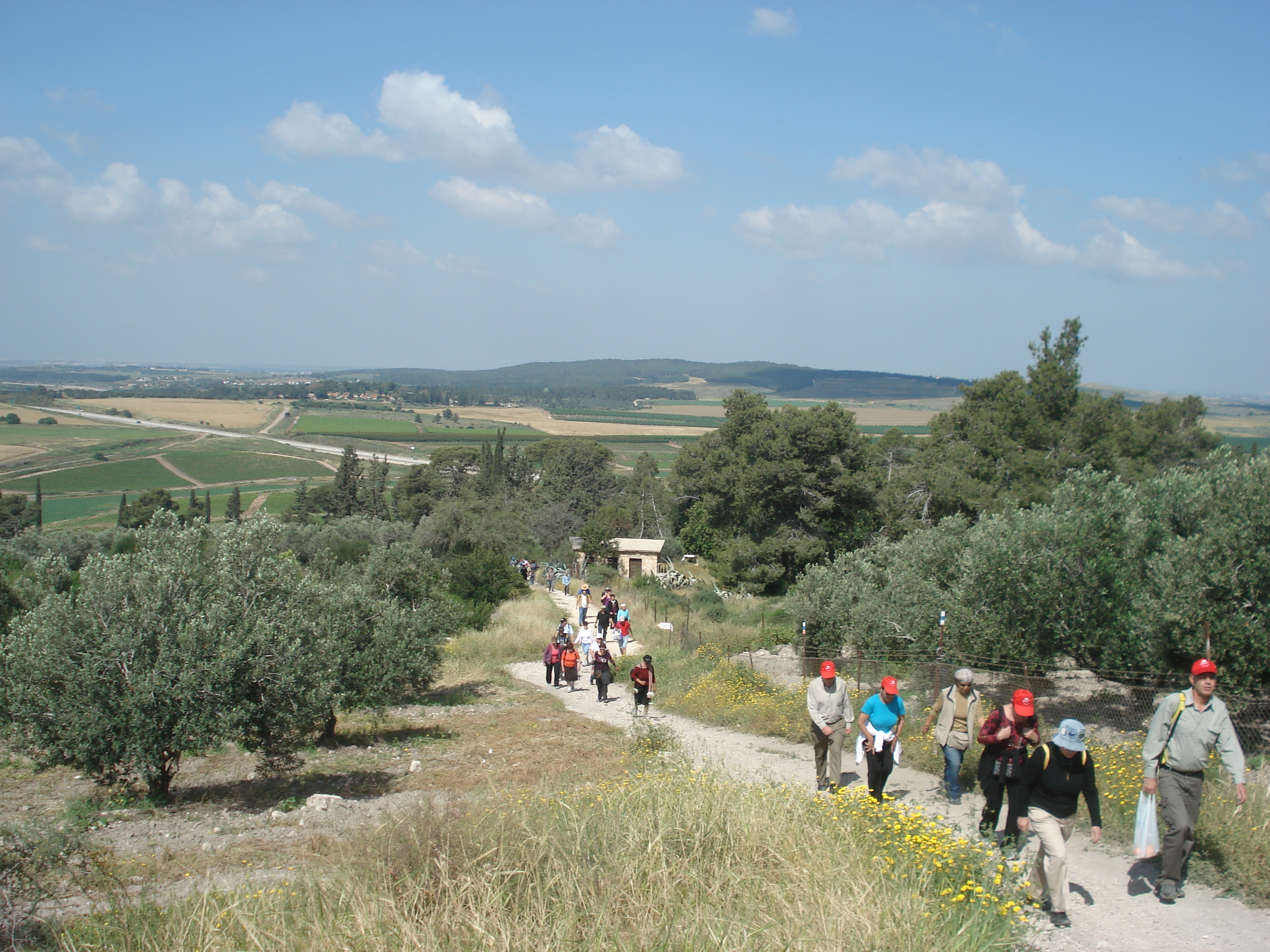 landscape of the ayalon valley, pictured in the societi's excursion to latrun