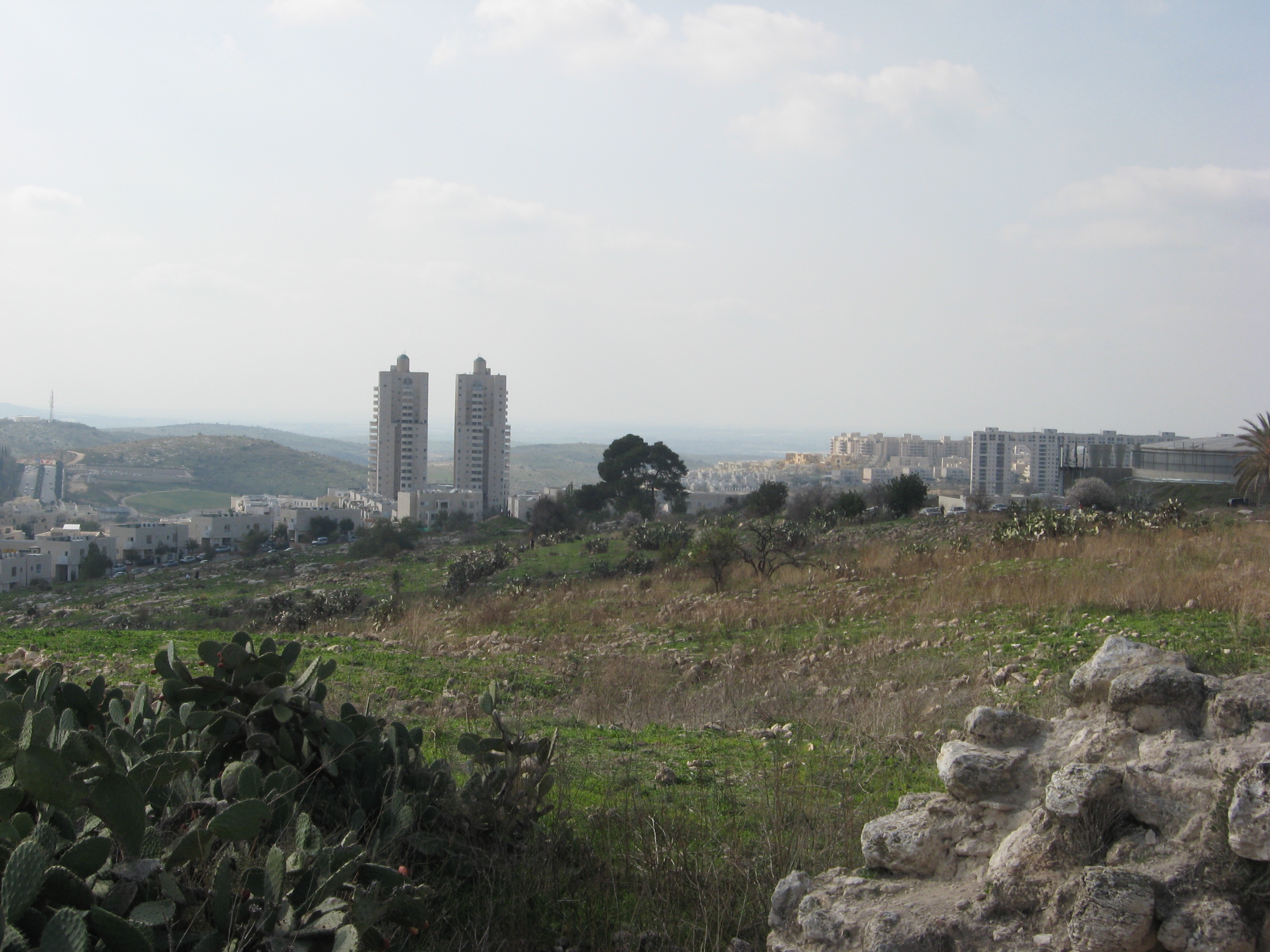 landscape of the city from 'titora' hill