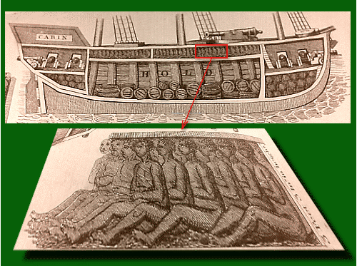 Diagram of a Portuguese slave transport ship, showing how enslaved Africans were arranged in the hold to maximize cargo