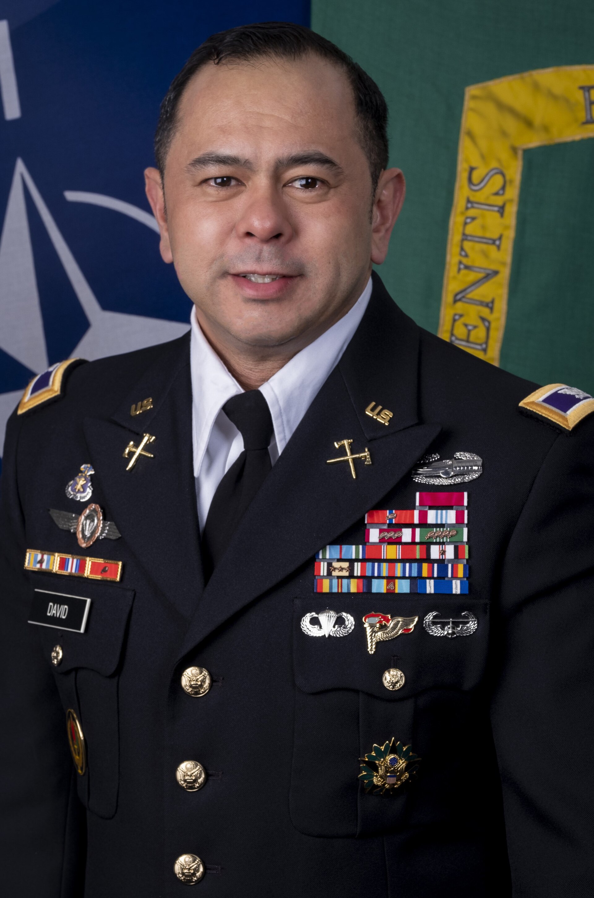 Arnel David