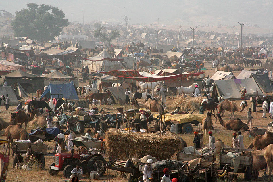Pushkar Fair, 2006