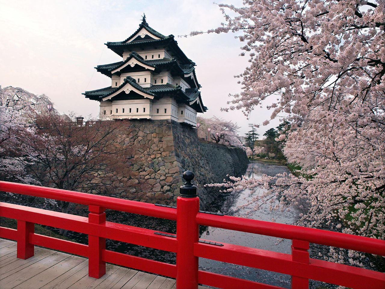 Hirosaki Cherry Blossom Festival