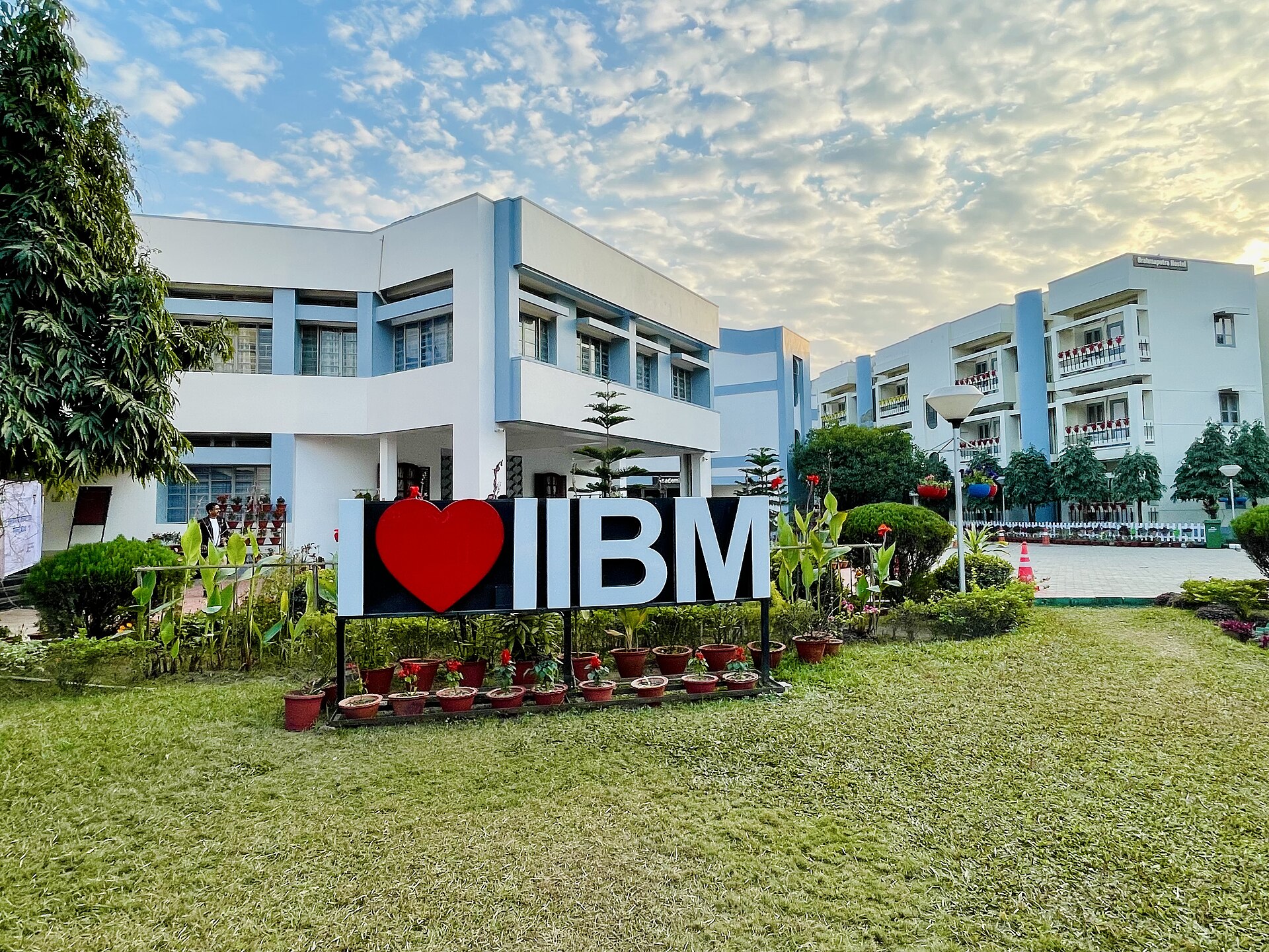 Indian Institute of Bank Management