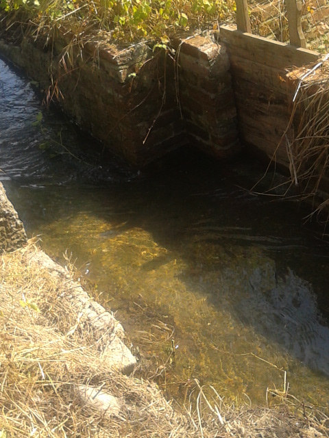 The "Riale di Parabiago" canal. It was activated in 1216.