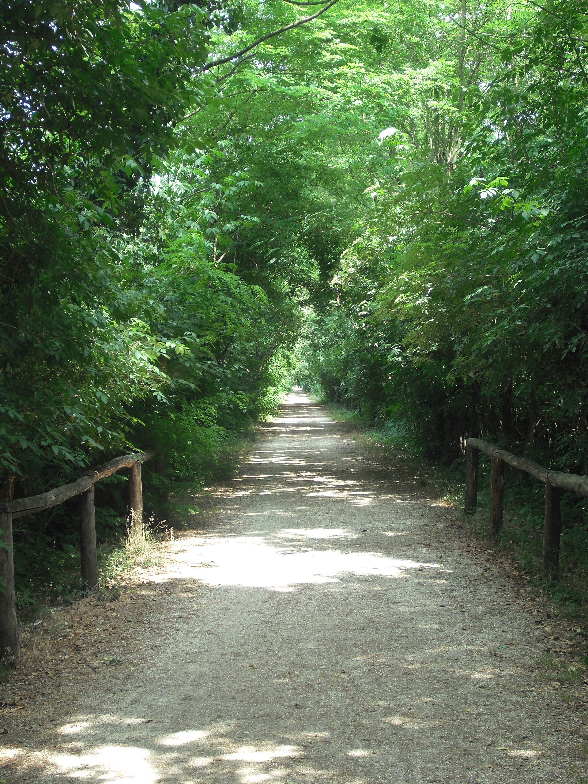 Treviso–Ostiglia railway line