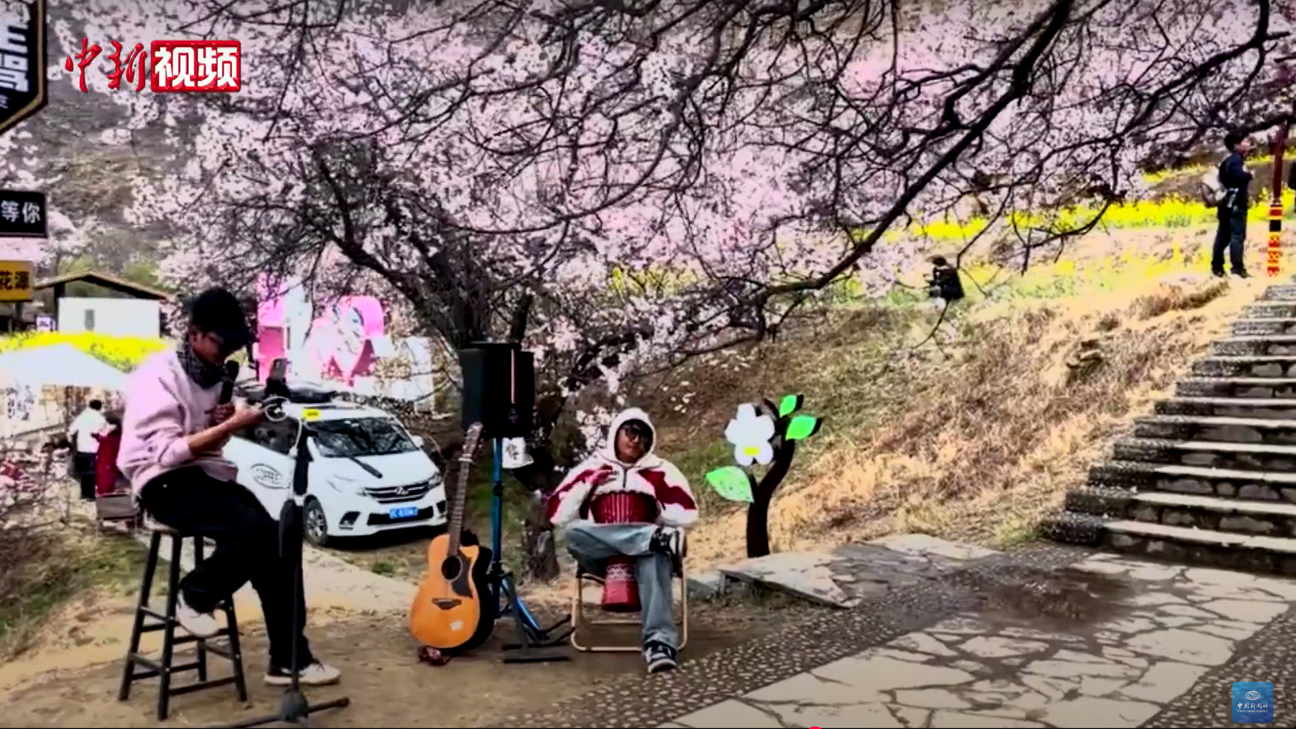 2024 Nyingchi Peach Blossom Festival