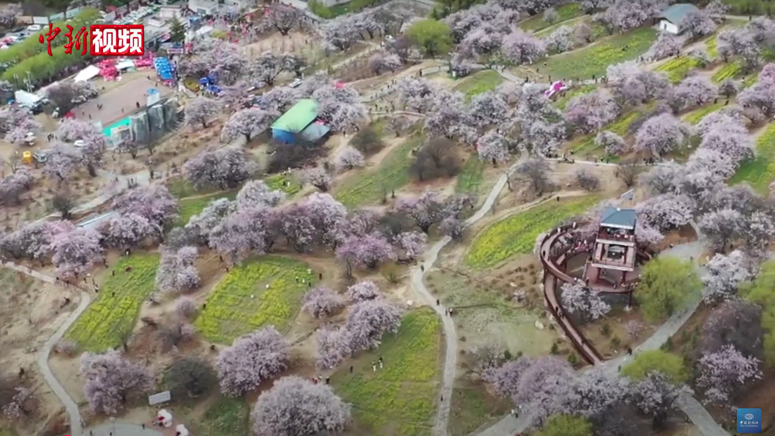 2024 Nyingchi Peach Blossom Festival