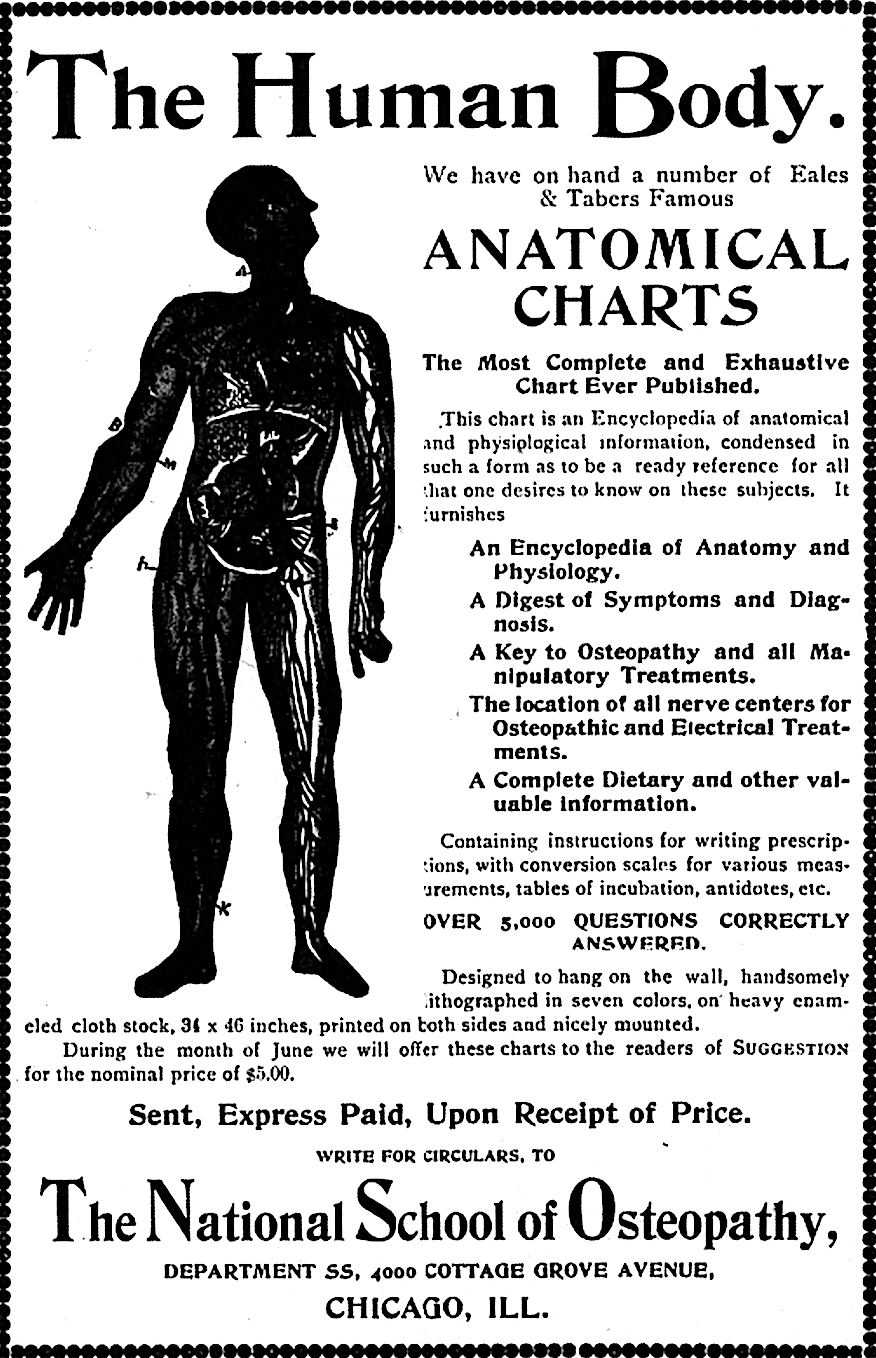 /images/wiki/496416/190c10dfa414736df827858391daa254.png /images/wiki/496416/190c10dfa414736df827858391daa254.png