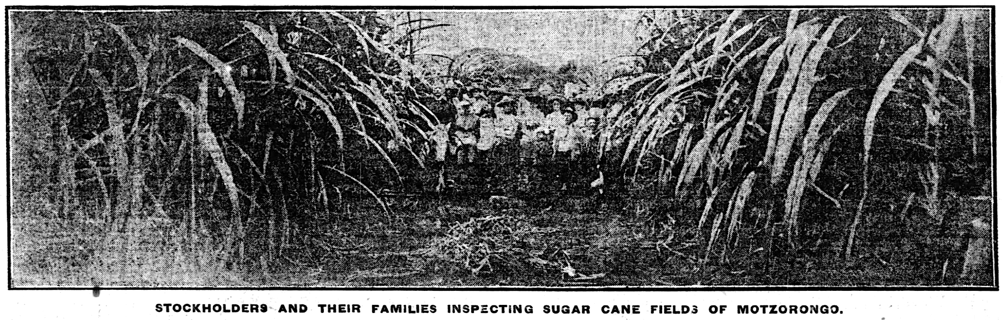 Investors and their families at The Motzorongo Plantation