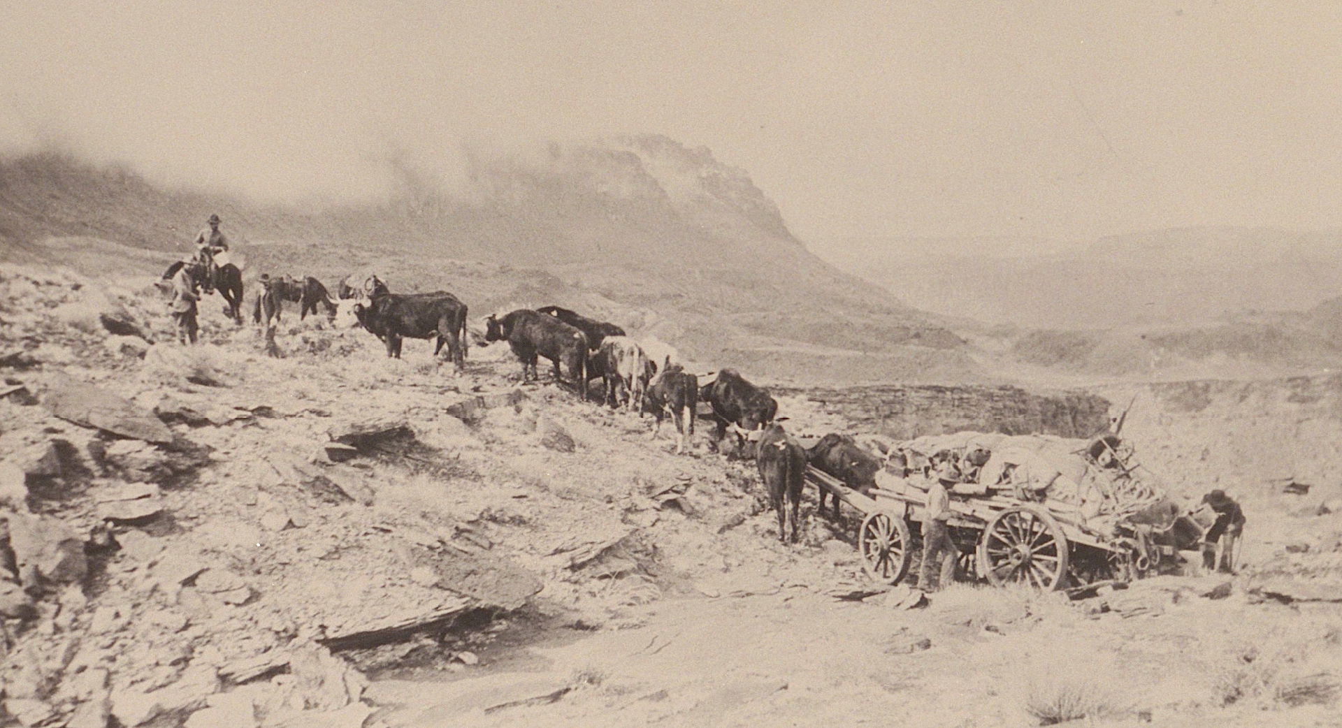 Charles Spencer moving a load of his placer mining operation to Lees Ferry over the rim of Nakai Canyon