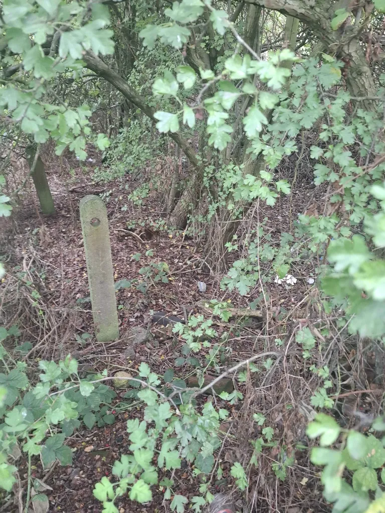 Bilston Brook