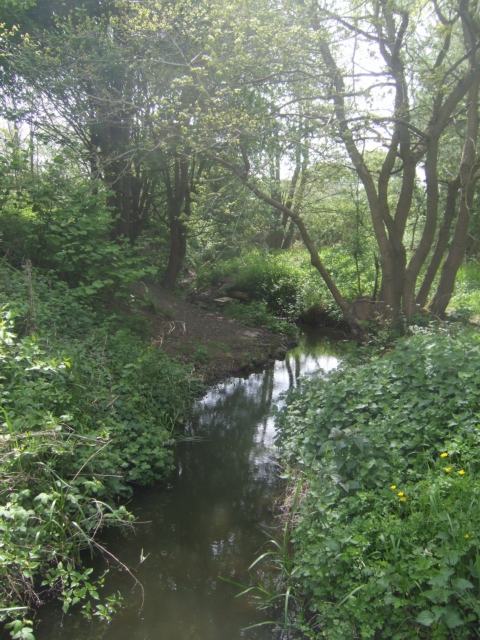 Sneyd Brook at Bloxwich, roughly  south-east of the source ()
