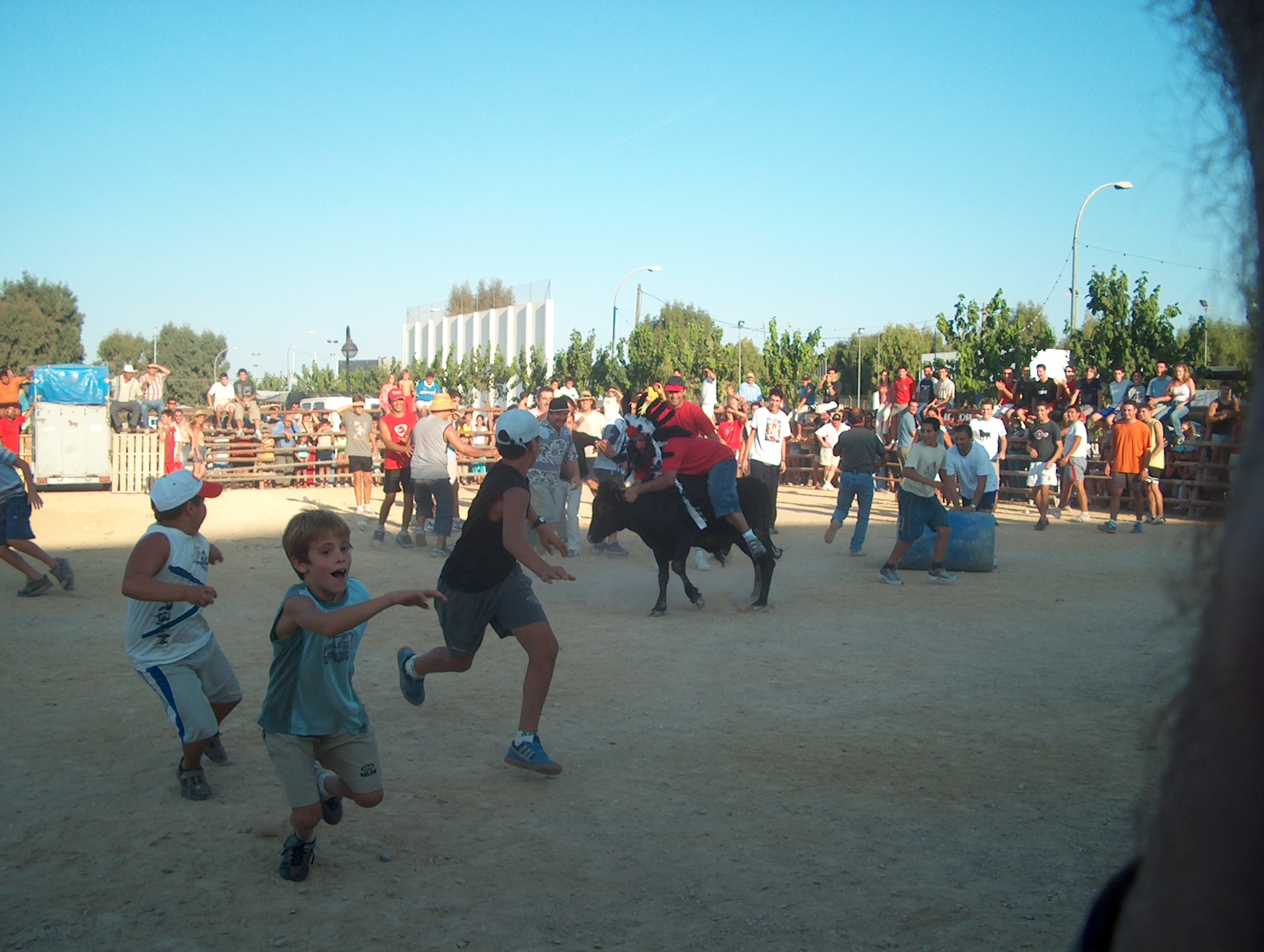 Toposa in action.
