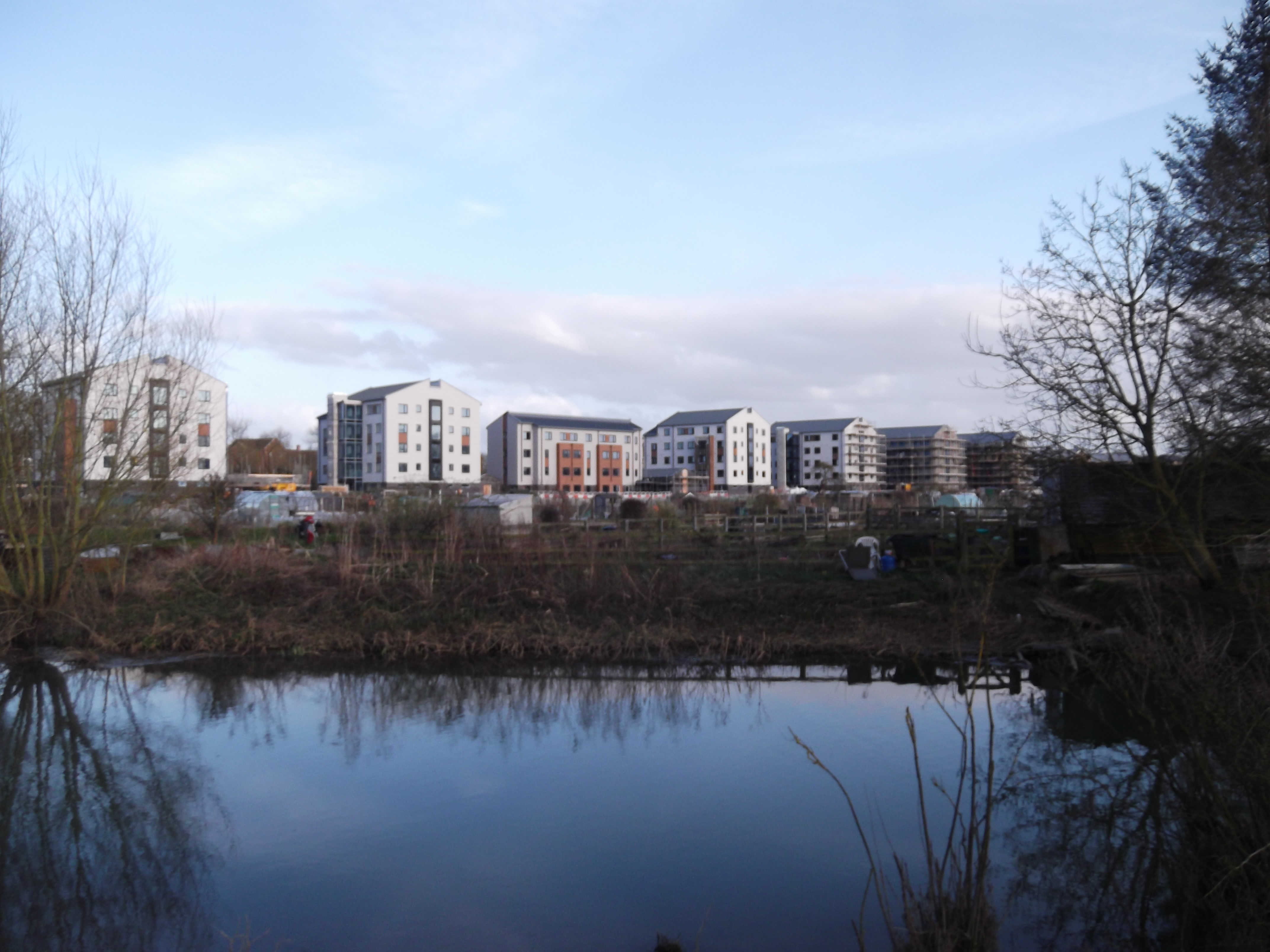 View from the Castle Mill Stream at the southern end of Port Meadow, across the Cripley Meadow Allotments. View from the Castle Mill Stream at the southern end of Port Meadow, across the Cripley Meadow Allotments.