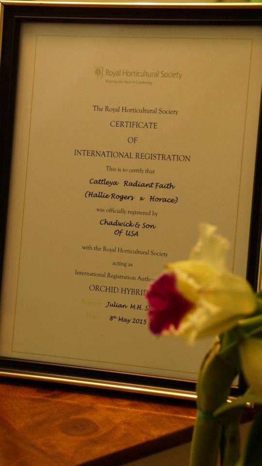Official certificate from the Royal Horticulture Society in England